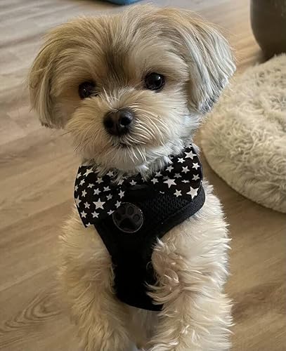 Jpgdn 60Pcs Pet Tie Set Include 30Pcs Adjustable Dog Neckties And 30Pcs Small Dogs Collar Bowties For Puppy Cat Rabbit Boys And Girls With Polka Dots Strips Grooming Party Attachment Accessories #TOP5