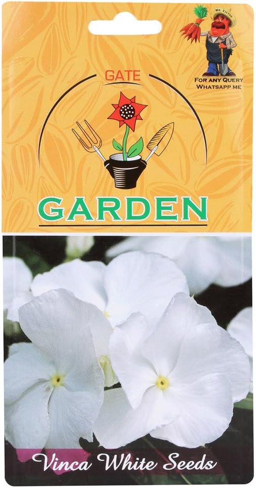 Gate Garden GTGDN26 Vinca Flower Seeds (White, 1 Pack x 15 Seed)