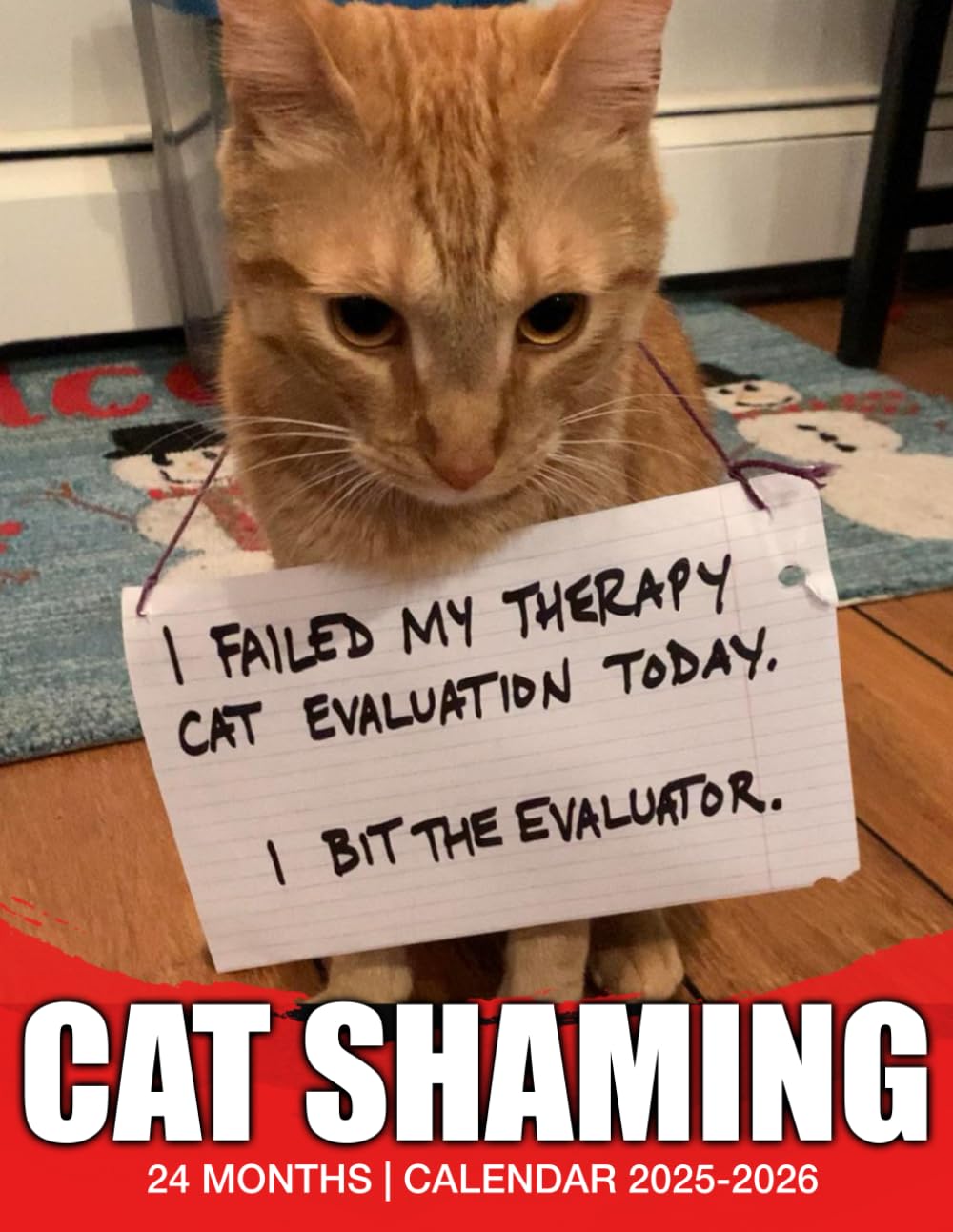 Cat Shaming Calendar 2025 2026 24 Months Jan 2025 to