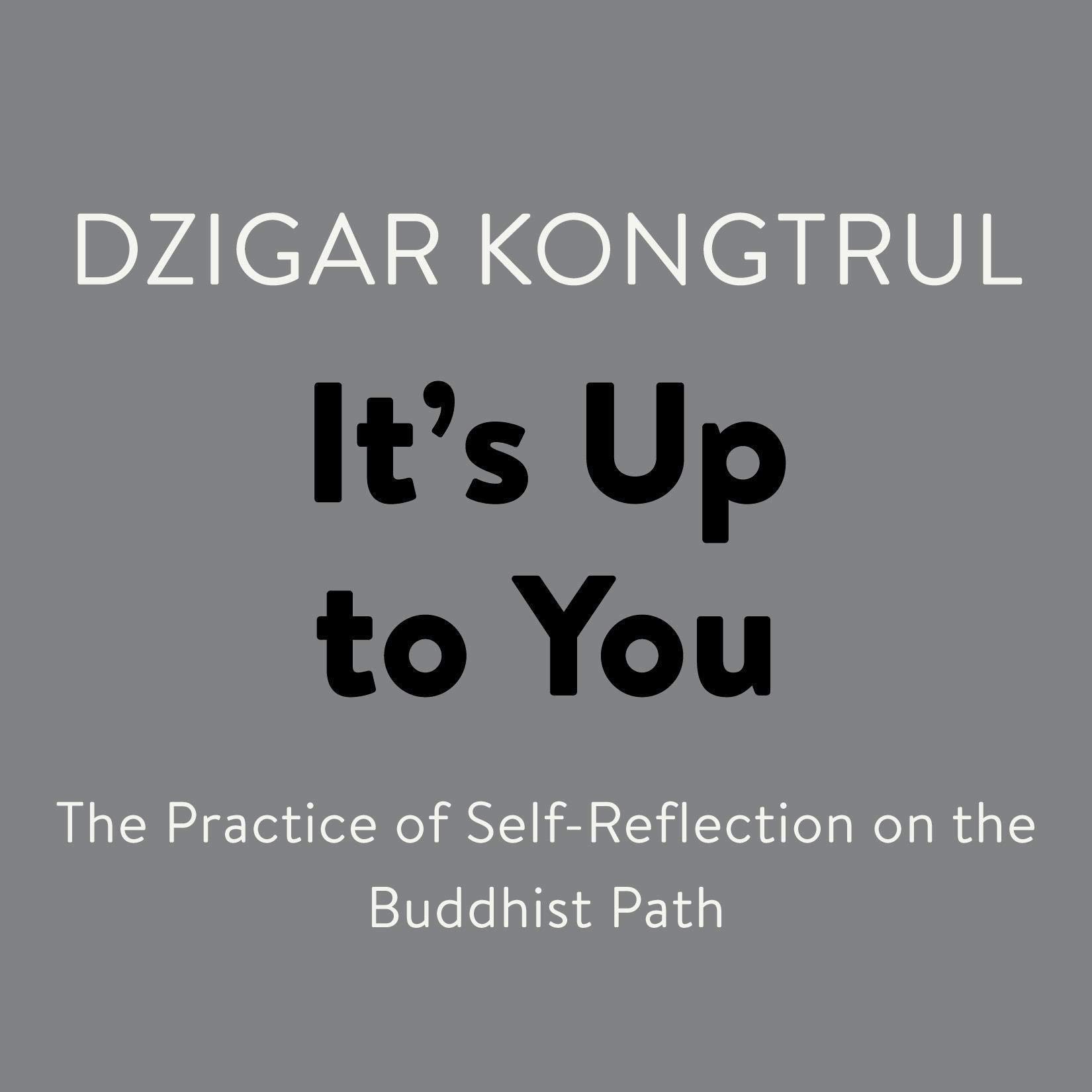 Cover art for It's Up to You