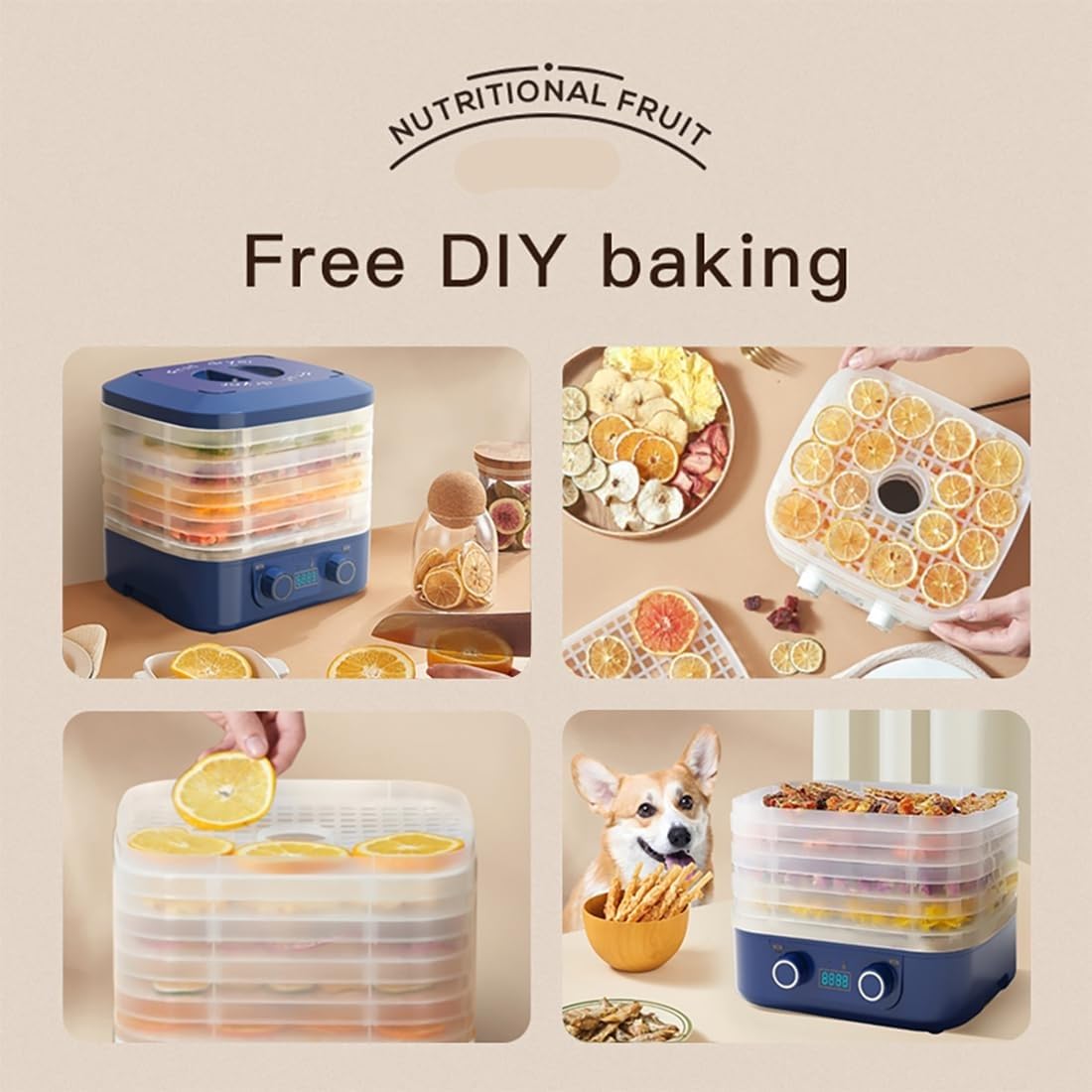 Liofilizzatore Automatico per Alimenti, essiccatore Domestico per Alimenti con Timer Digitale e Controllo della Temperatura, essiccatore Elettrico per Frutta a 5 vassoi per Caramelle(Blue)