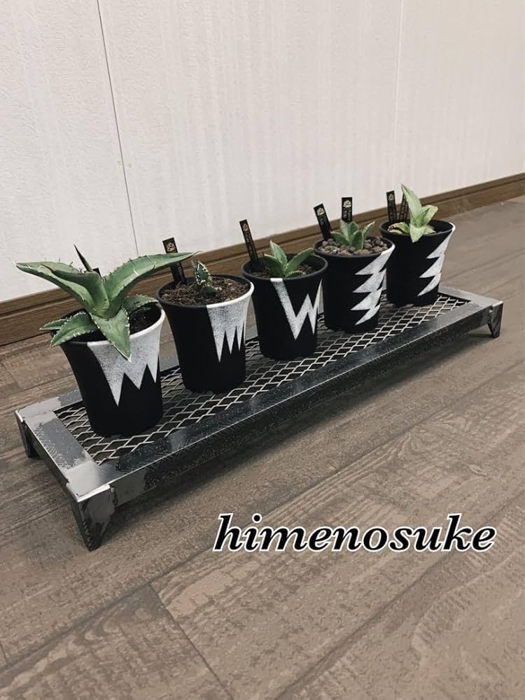 ☆送料込み☆無骨ラック即購入OK 男前　インテリア　花台　什器　アガベ Amazon.co.jp: 込み無骨ラック 男前 プランターラック 多肉植物