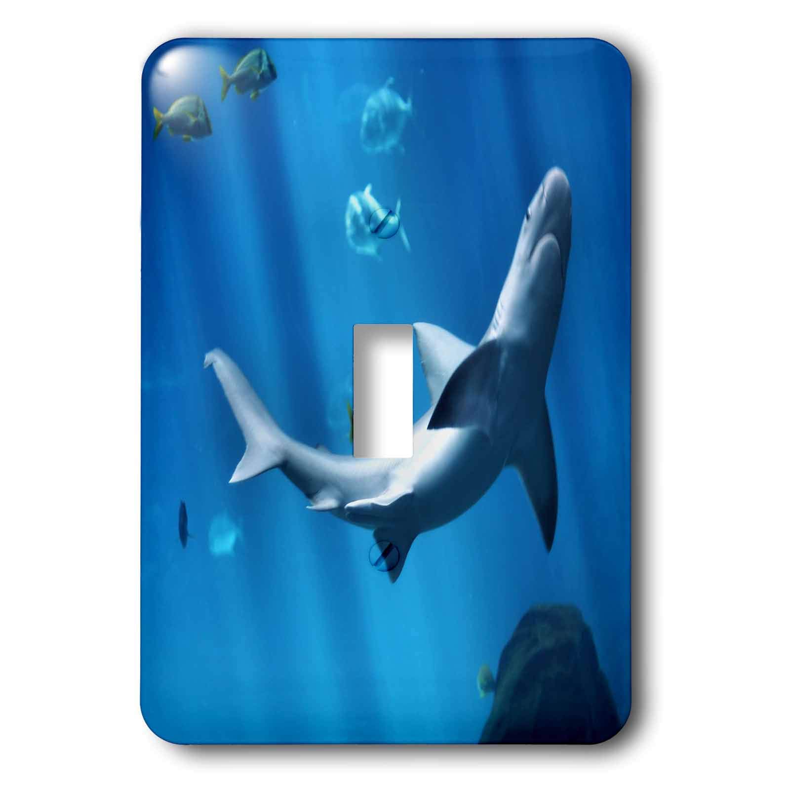 Interrupteur de haute qualité 3dRose LSP_44808_1 Shark Close-up finition brillante