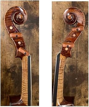 Amazon.co.jp: オールドバイオリン鈴木バイオリン 1900年 : 楽器・音響機器