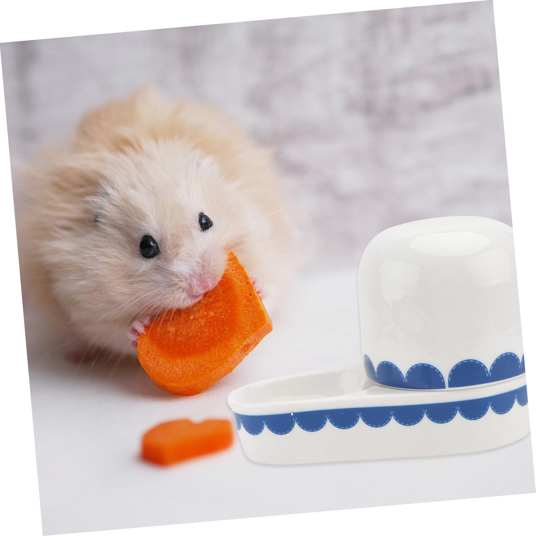 UPKOCH Abreuvoir Céramique pour Lapin Bol Créatif, Distributeur d'eau Suspendu pour Petits Animaux, Accessoire Pratique et Solide pour Rongeurs