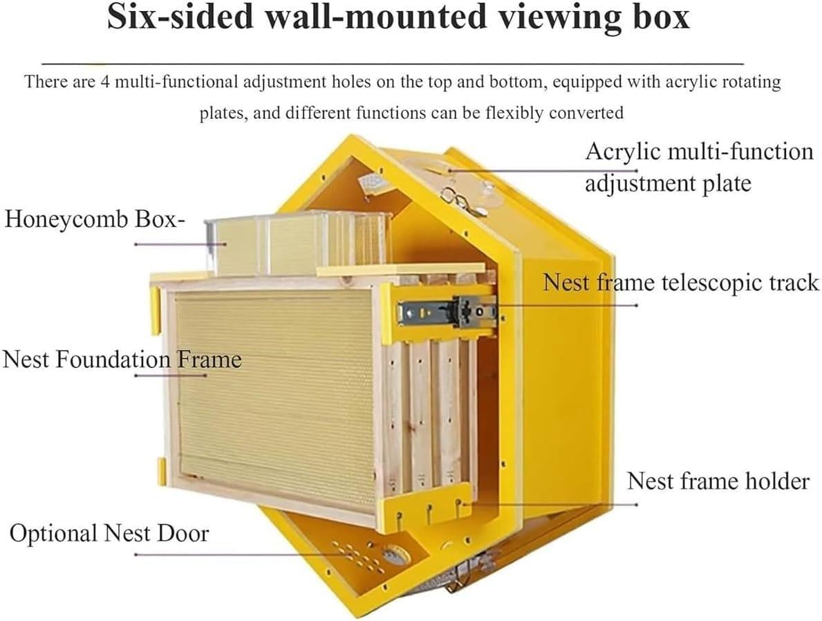 Starter kit per interni con 3 cornici e 6 vassoi a nido d'ape, finestra di visualizzazione in acrilico, struttura esagonale per gli appassionati di apicoltura, sistema di apicoltura domestica