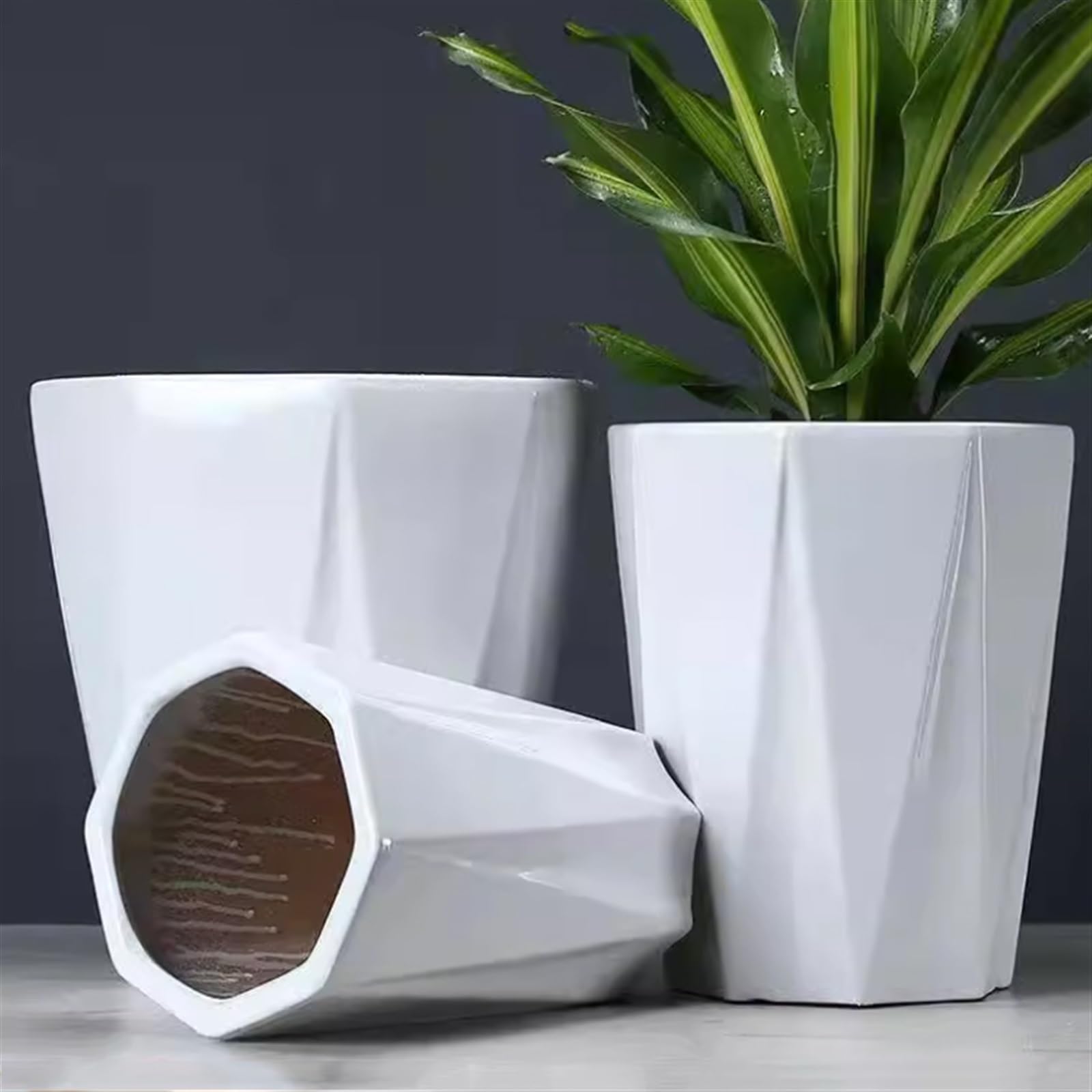 Doniczki na kwiaty Ceramiczne doniczki duże z tacą prosta czysta biała ośmiokątna linia doniczki sukulenty zielone rośliny uprawa proste donice Doniczka (Size : M)