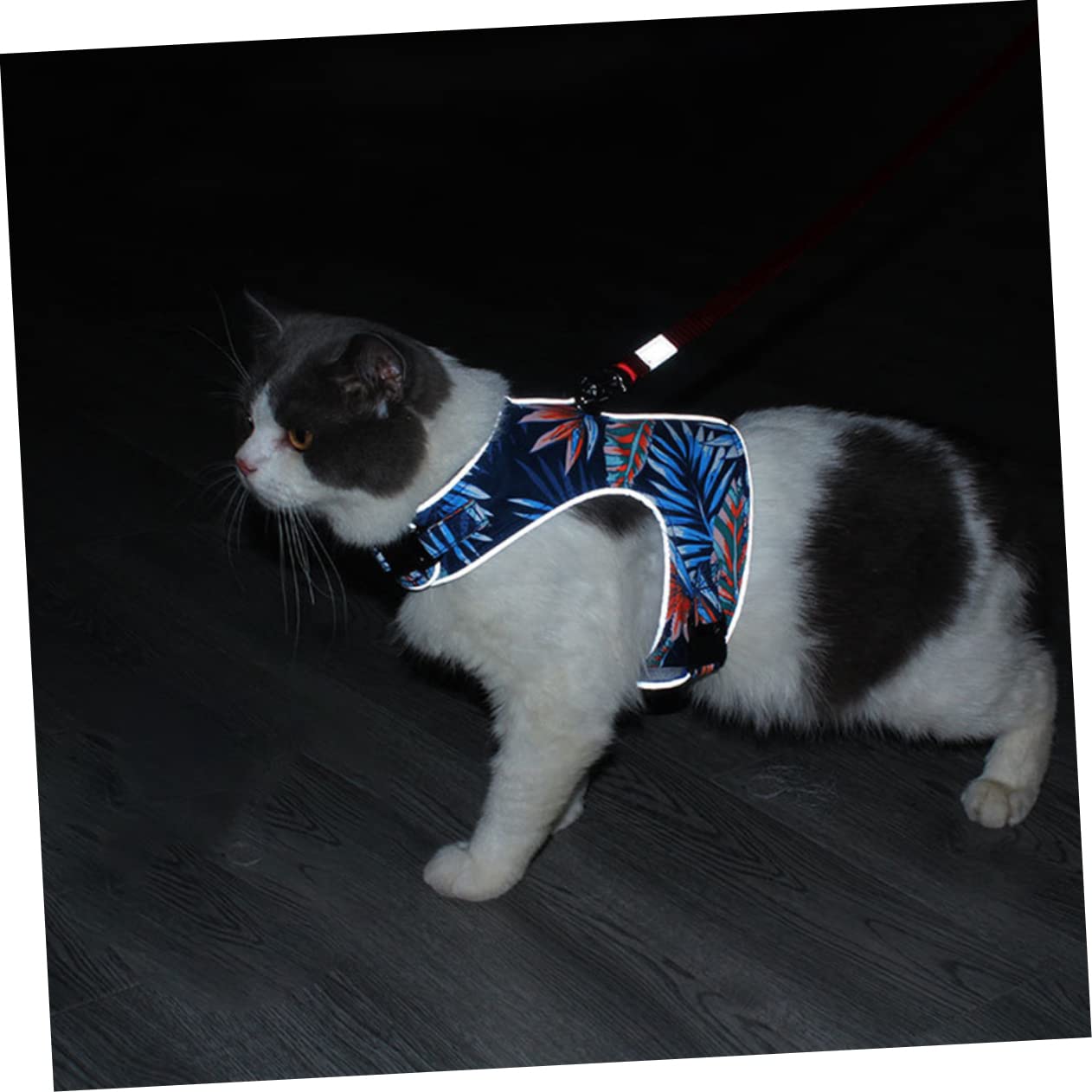 FRCOLOR 3 Juegos De Correas para Gatos Chaleco Ligero para Gatos Diseño De Malla Reflectante Seguro