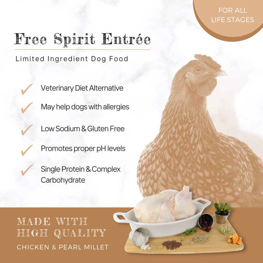 How Much Chicken Should I Feed My Dogs