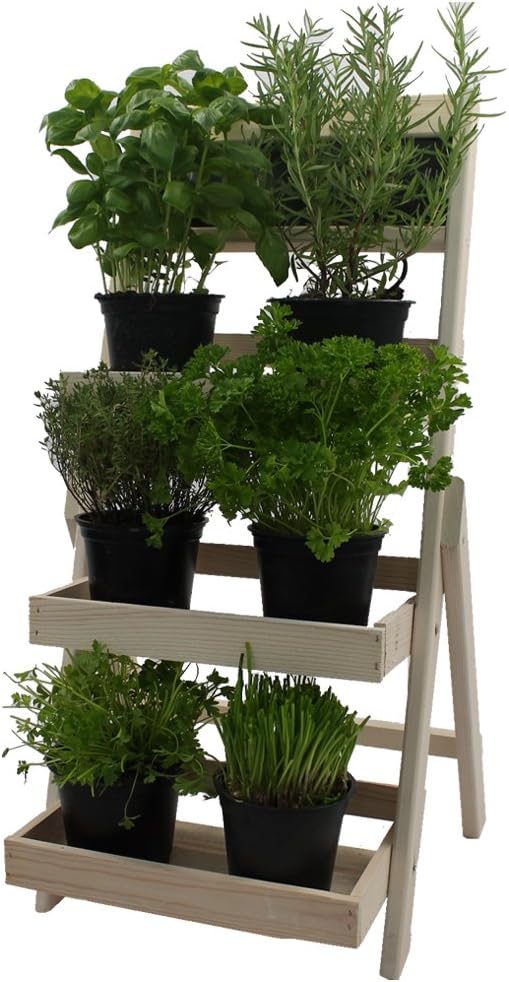 FSC® Wooden Flower Display Rack 66 cm - Plant Ladder Stand Shelves with Chalkboard, Weather Resistant and Durable, Colour:White