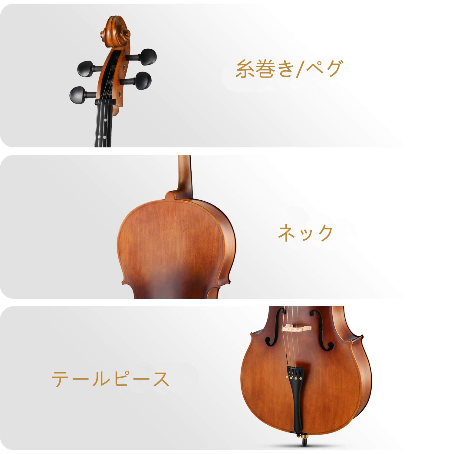Amazon.co.jp: Eastar チェロ フルサイズ 天然ワニス 艶消し 初心者 