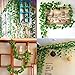 Unilove 168 feet Fake Foliage Garland Leaves Decoration Artificial Greenery Ivy Vine Plants for Home Decor Indoor Outdoors (Artificial Scindapsus Leaves)