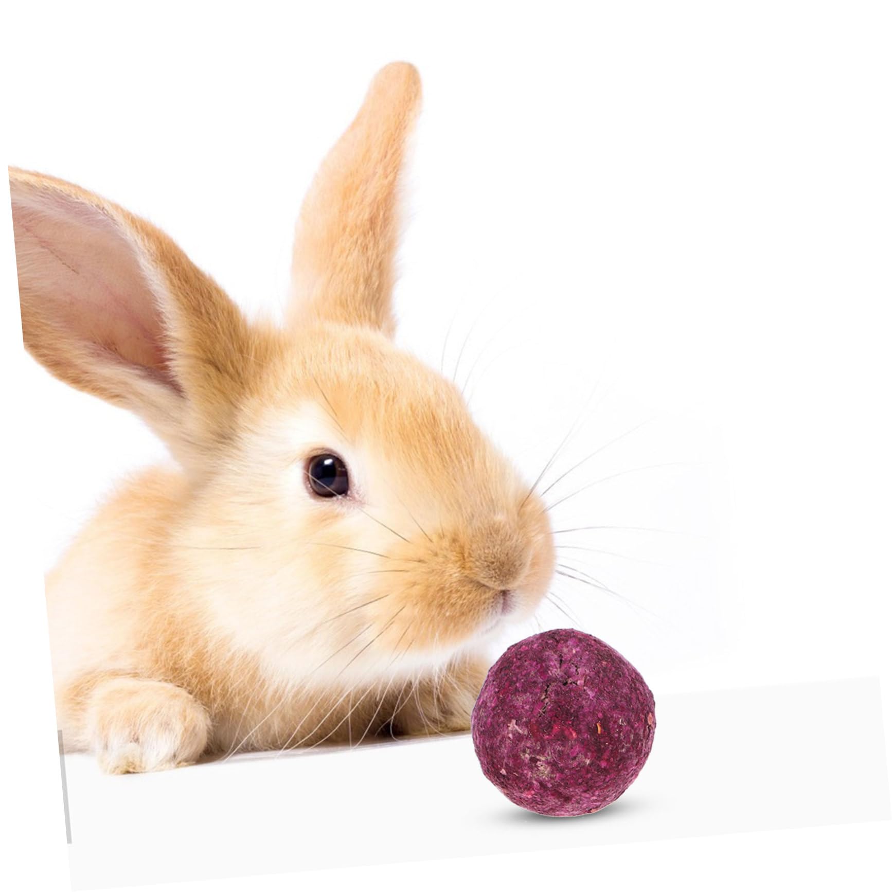 36 Pezzi Giocattoli da Masticare Naturali per Conigli da Palline Molar e Snack per Animali per Intrattenimento e con Selezionate e Asciugatura Naturale