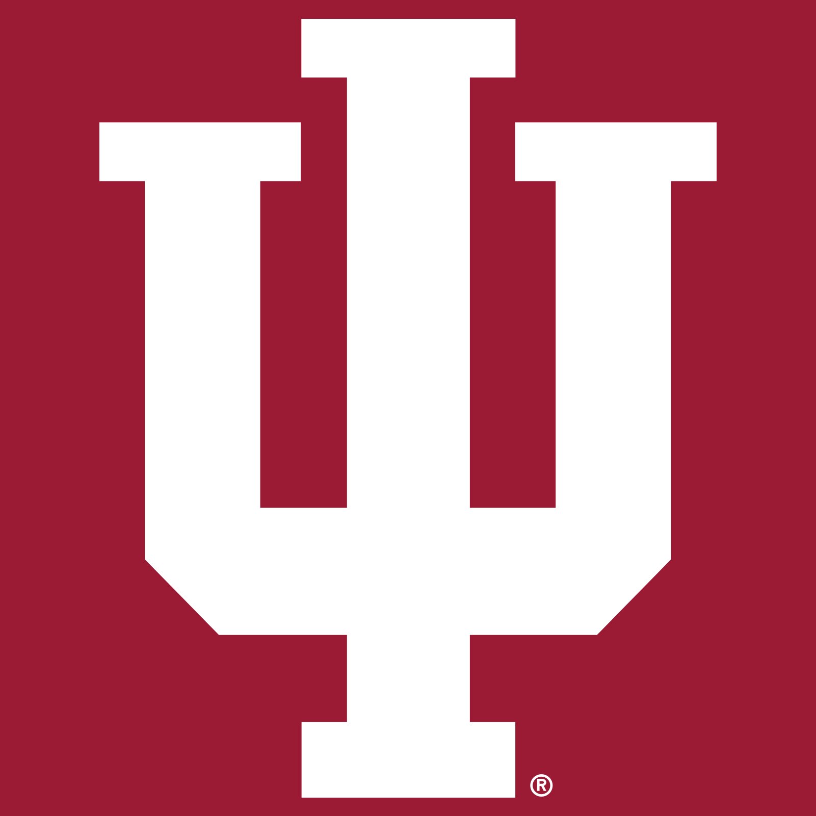 UGP Campus Apparel AL02 - Indiana Hoosiers Primary Logo Long Sleeve - Medium - Cardinal Red