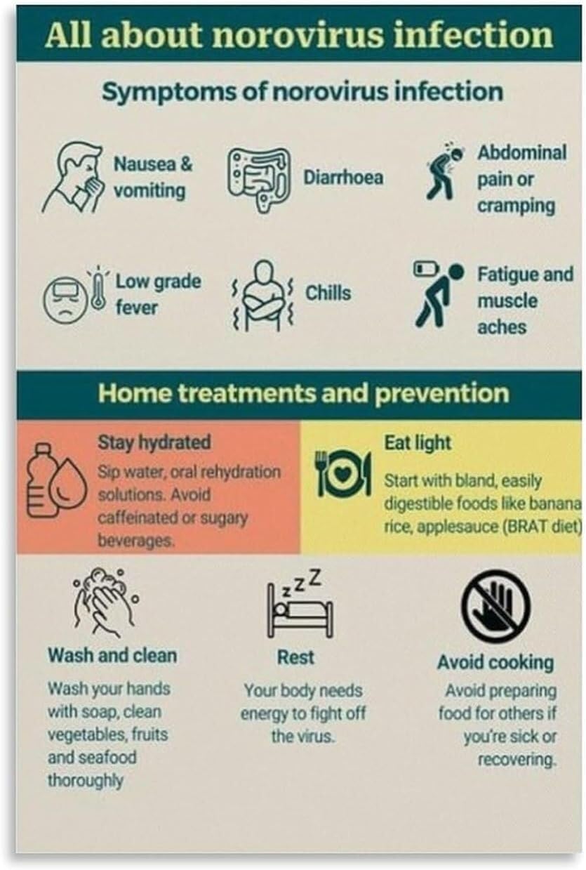 AUOQKQUT Stomach Virus Norovirus Symptoms Educational Chart Health Poster Reference for Clinic School Hospital Office Daycare Wall-Art Sign Framed,12x18inch(30x45cm)