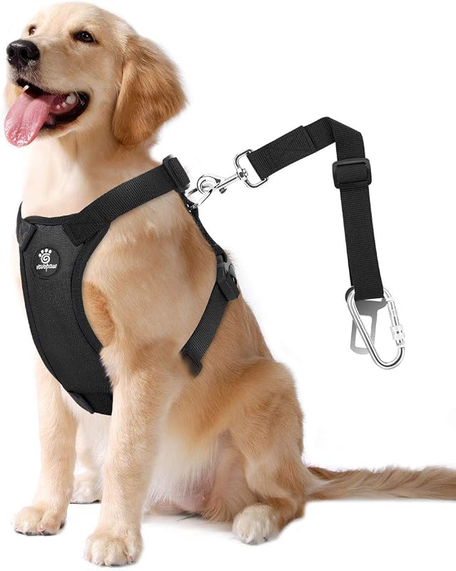 Cinto de Segurança para Cães com Peitoral Vestido VavoPaw 2 em 1