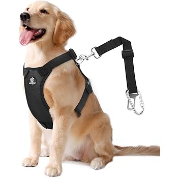 pawaboo harness