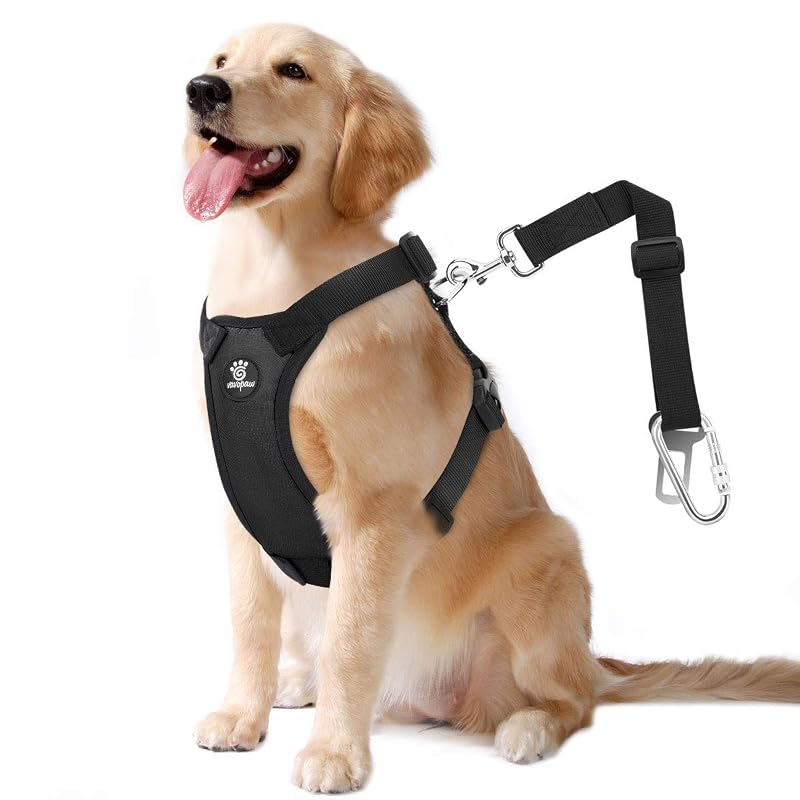 Cinto de Segurança para Cães com Peitoral Vest VavoPaw 2 em 1 Preto XL