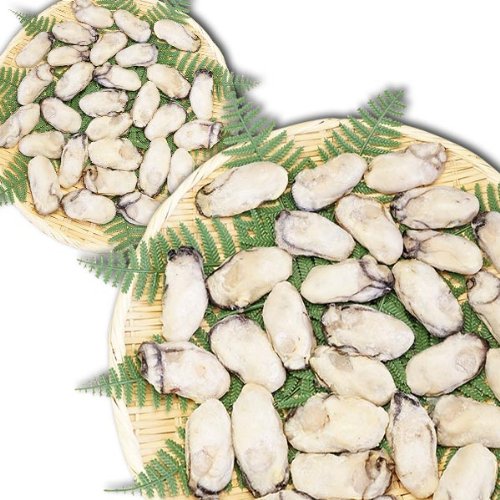 zO yⓀzJL y LY   2.0kg(60O) Mp