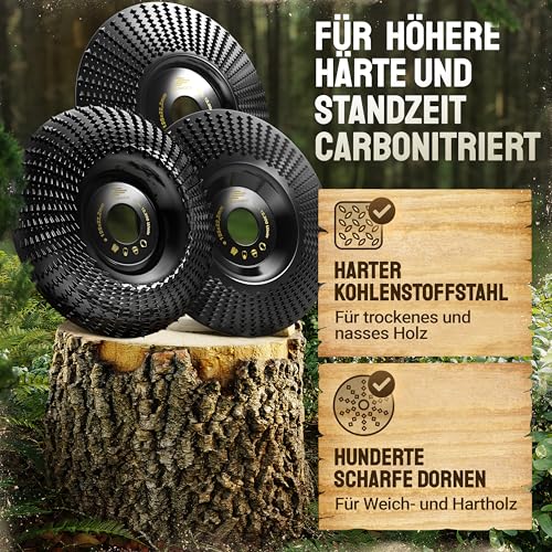 Adlerfokus Holz Schleifscheibe 125mm Set Winkelschleifer [EXTRA SCHARF] Flexscheibe für Holz - Wurzelfräse - Lackfräse - Baumstumpffräse - Raspelscheibe - Schleifen mit einer Flex Schleifscheibe