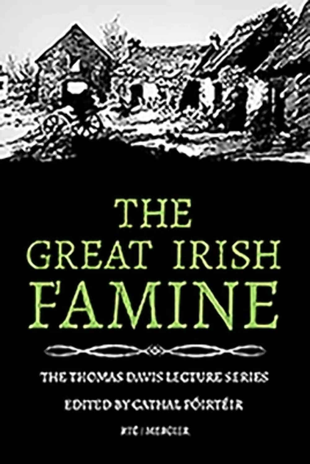 The Great Irish Famine (Thomas Davis Lecture Series),Cathal Poir