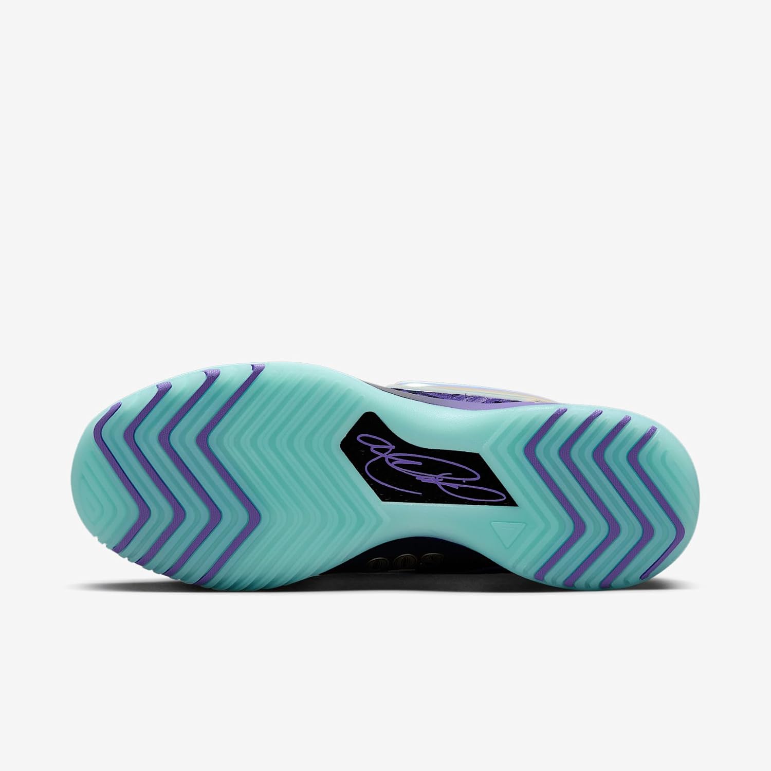 Nike Lebron NXXT Genisus EP Basketball Shoes (IB1272-501, Persian Violet/Imperial Purple/Glacier Ice/White) Size 13