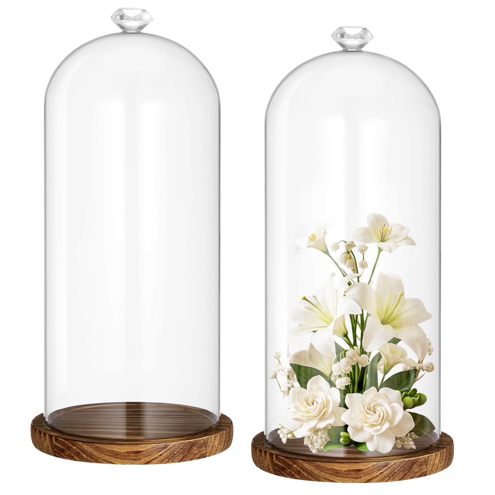 Photo 1 of Suclain Glass Cloche Display Dome with Base - Brown, Diamond Handle