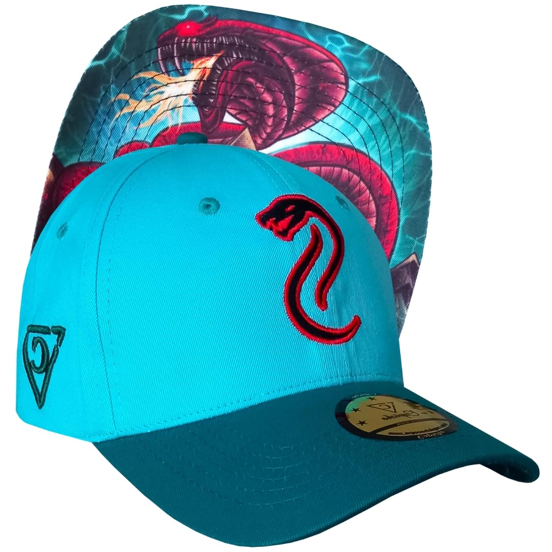 Capiche [99+ VARIACIONES] Gorra Snapback Nueva Colección Special Series Gris Oscuro — view 166