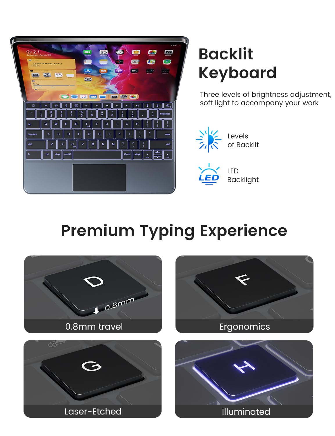 https://m.media-amazon.com/images/I/61d+vA2yMaL.jpg