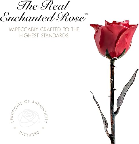 Miniatura 5 de Forever Rose Rojo encantado en cúpula de cristal inspirado en la flor de la Bella y la Bestia, rosa preservada grabada a mano Rosa sumergida a mano