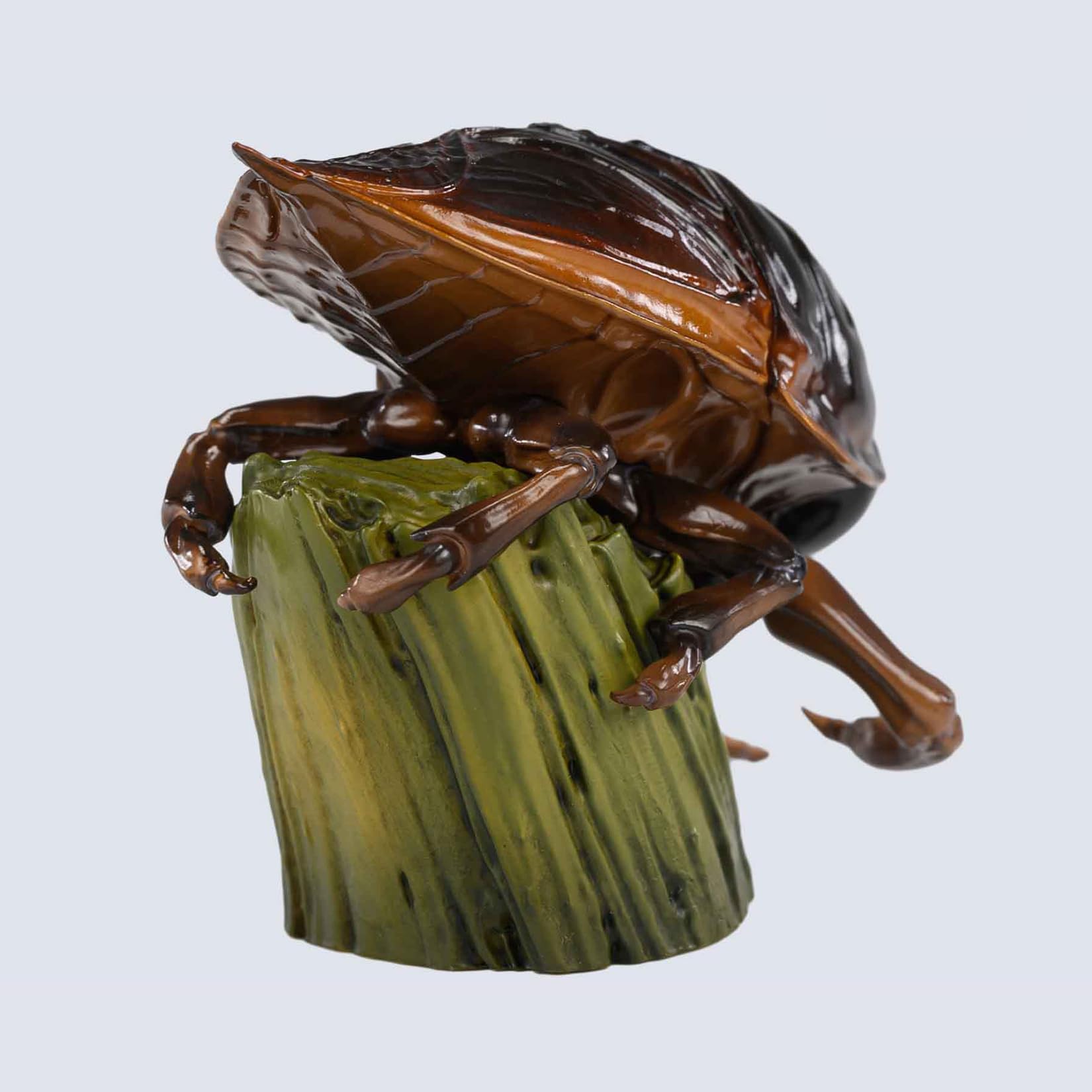 特撮 The insects of Japan vol.6 Coleoptera,curculionidae,barid The insects of Japan (vol.6)