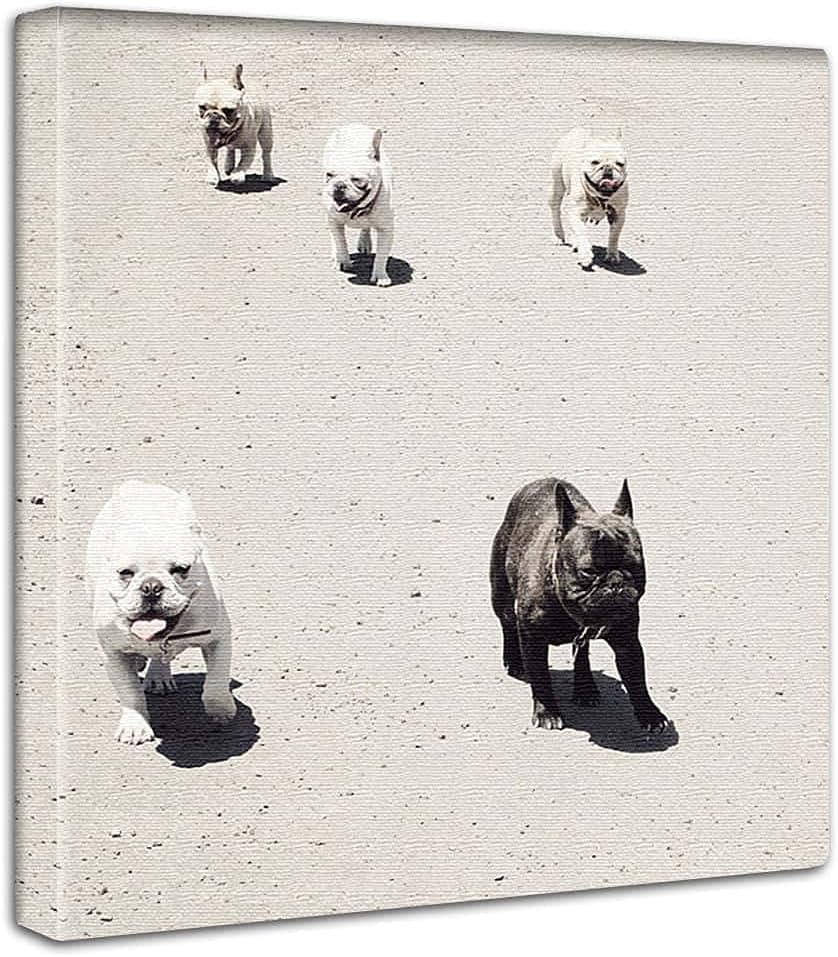 ビンテージア-トクラフトSAM FRANCIS展示会ポスター('72フレ-ム付き