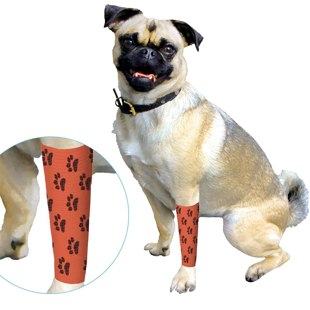 Pet Vet Wrap Benda Elastica Autoadesiva 6 Rotoli 5cm x 4.5m Bendaggio Coesivo Adesivo Bende non Tessuto Nastro elastico