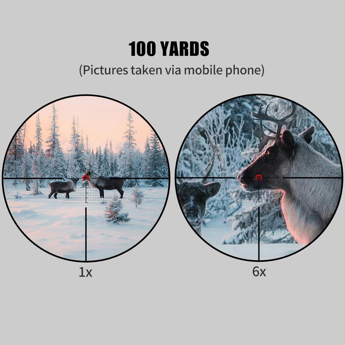 1-6x24IR SFP Second Focal Plane LPVO Scope，Optic HD Red Illuminated Reticle Sight with Adjustable Focus Ring & 11 Levels Brightness，Green Multi-Coated Lens，IPX67 Water Resistance/Shockproof/Fogproof