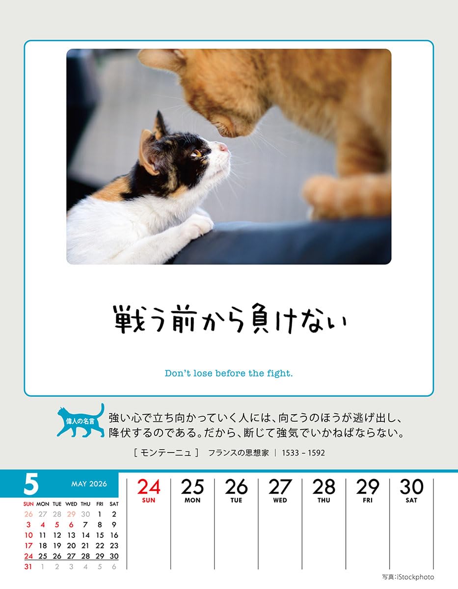 Amazon | トライエックス 人生はニャンとかなる！ 卓上/壁掛 2026年