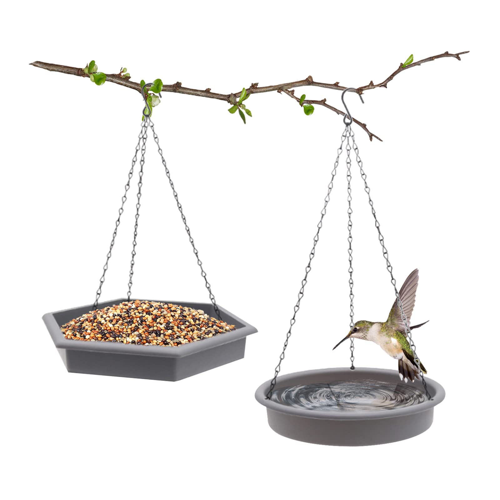 Best Large Carolina Wren Bird Feeders for Your Garden Hummingbirds Plus