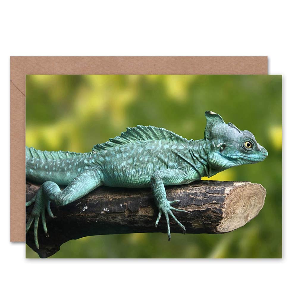 Wee Blue Coo NATURE ANIMAL LIZARD REPTILE BLANK GREETINGS BIRTHDAY CARD ART