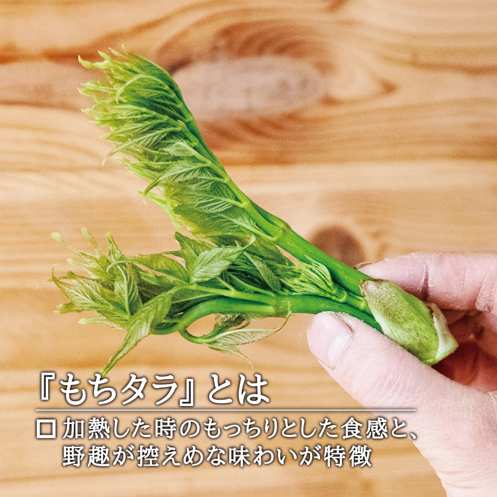 Amazon.co.jp: 【国産 山菜】西根の森 もちタラ（ タラの芽 早取れ山菜