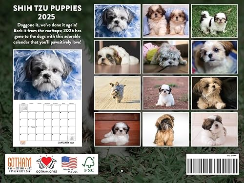 Vista 166 de Calendario Goldendoodle 2026 Golden Doodle mensual de pared calendario de 12 meses Fabricado en Estados Unidos