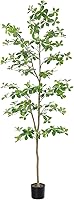 Bellacat 7ft Faux Black Olive Tree - Realistic Artificial Indoor Outdoor Tree with Natural Trunk & Leaves for Home Office Decor