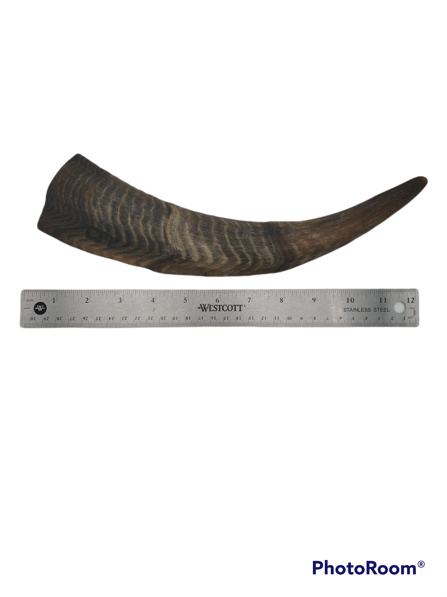 Kauspielzeug für Hunde, getrocknet, Ziegenhörner, groß, 1 Stück
