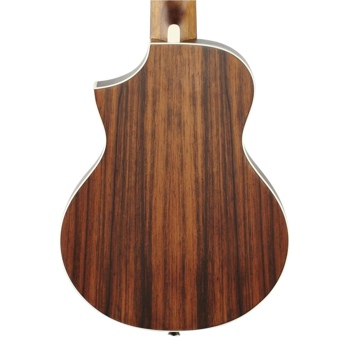 Amazon.com: Ibanez EWP13 Acoustic Guitar - Dark Brown Open Pore