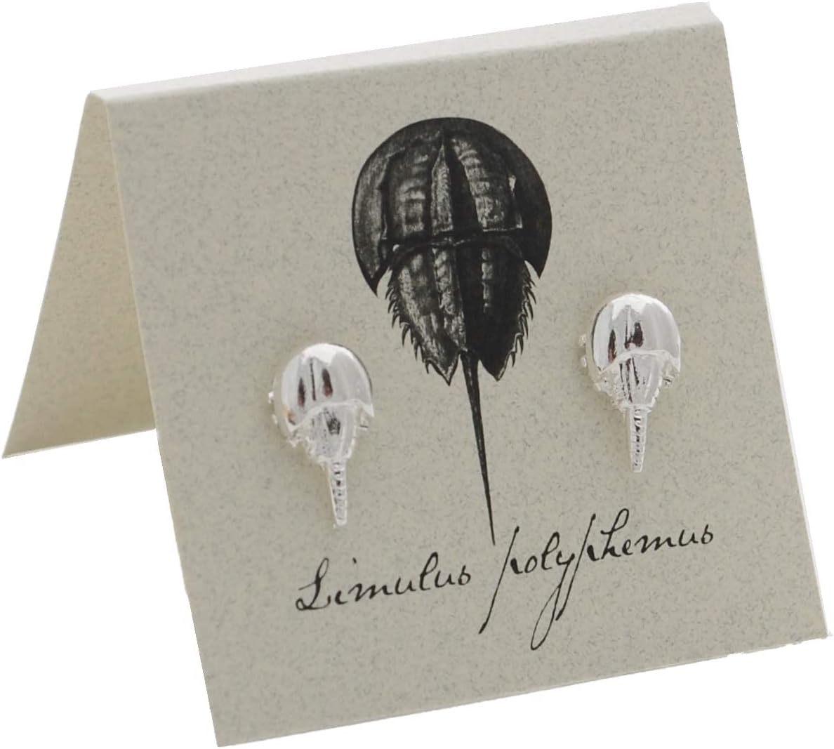 Horseshoe Crab Stud Earrings - silver