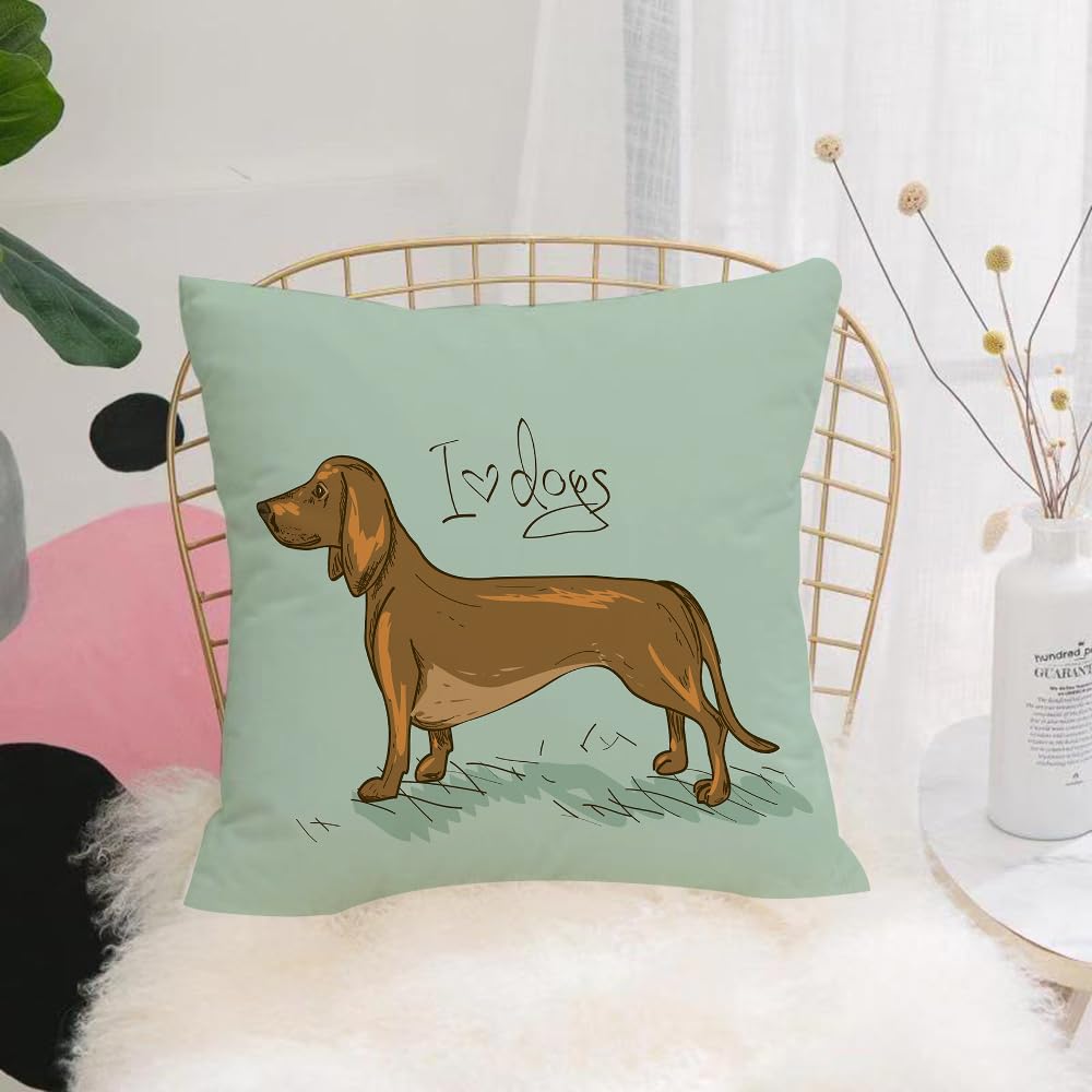 HYOSXW Cushion Cover,Throw Pillow Case Home Decorative for Living Room Bedroom Sofa Chair 16X16 Inch,Illustration with isolated Dachshund dog,Pillowcase 40X40cm