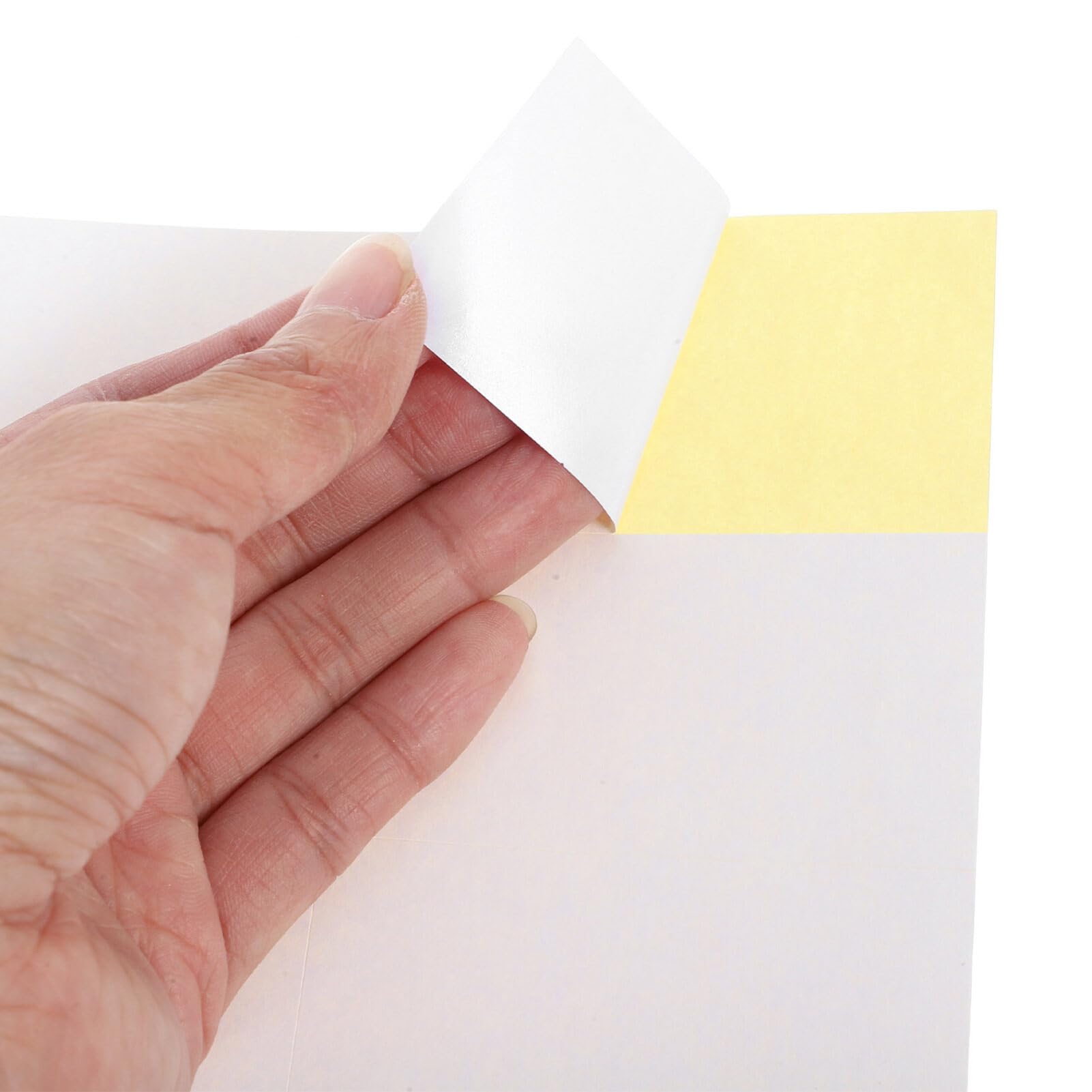 SHINEOFI Etichette Vuote Rimovibili Per Congelatore 100 Fogli Adesivi Per Etichette Con Cartellini Dei Prezzi Adesivi Etichette Per Indirizzi Per Contenitori Per Alimenti Barattoli