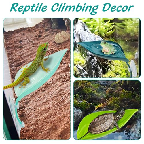 image for Apatal 3 Pack Plastic Frog Habitat Platform with Suction Cups Reptile 