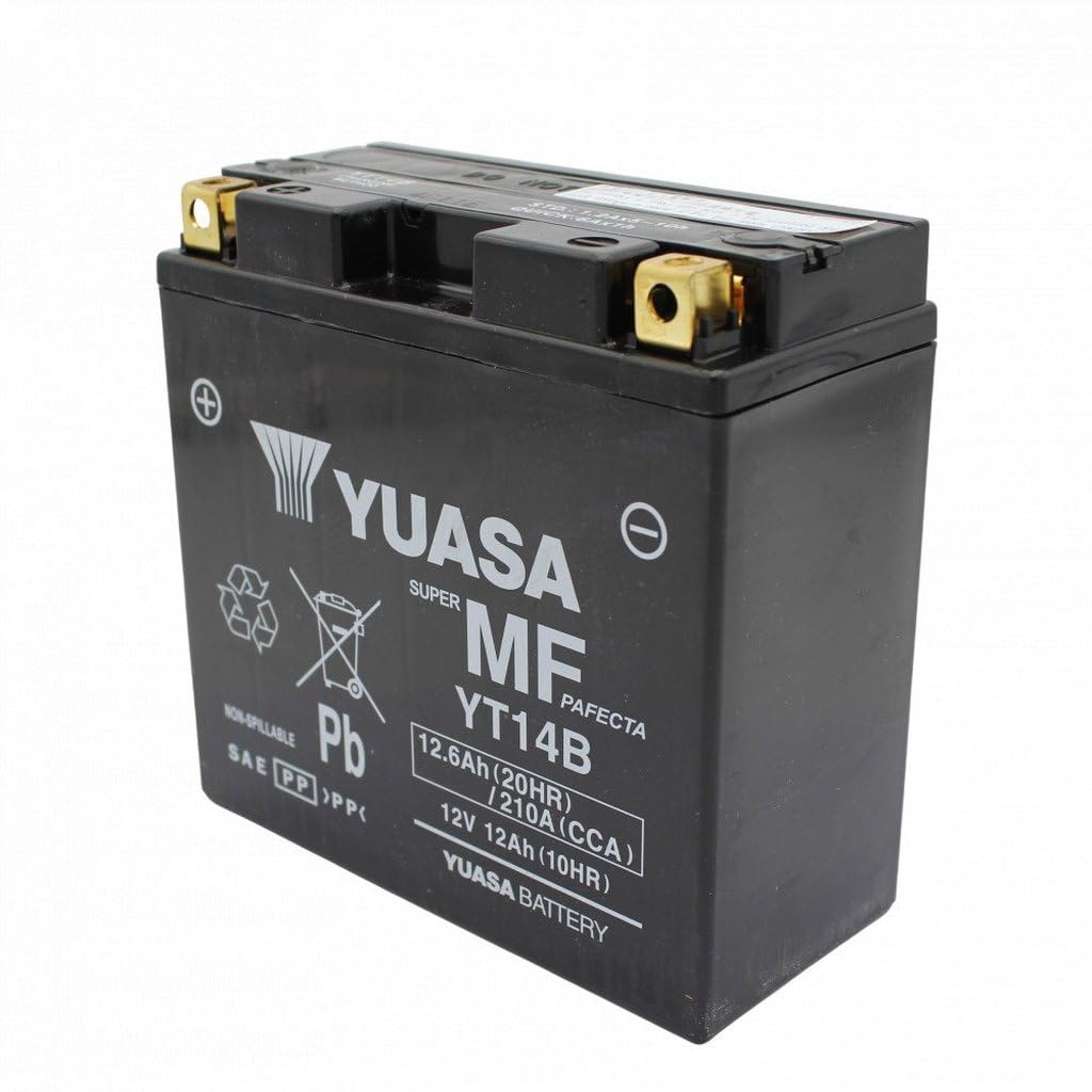 Yuasa YT14B-BS (WC) batteria senza manutenzione