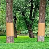 Zoom IMG-1 jingyash tree tape avvolgibile 50 Zoom IMG-1 jingyash tree tape avvolgibile 50