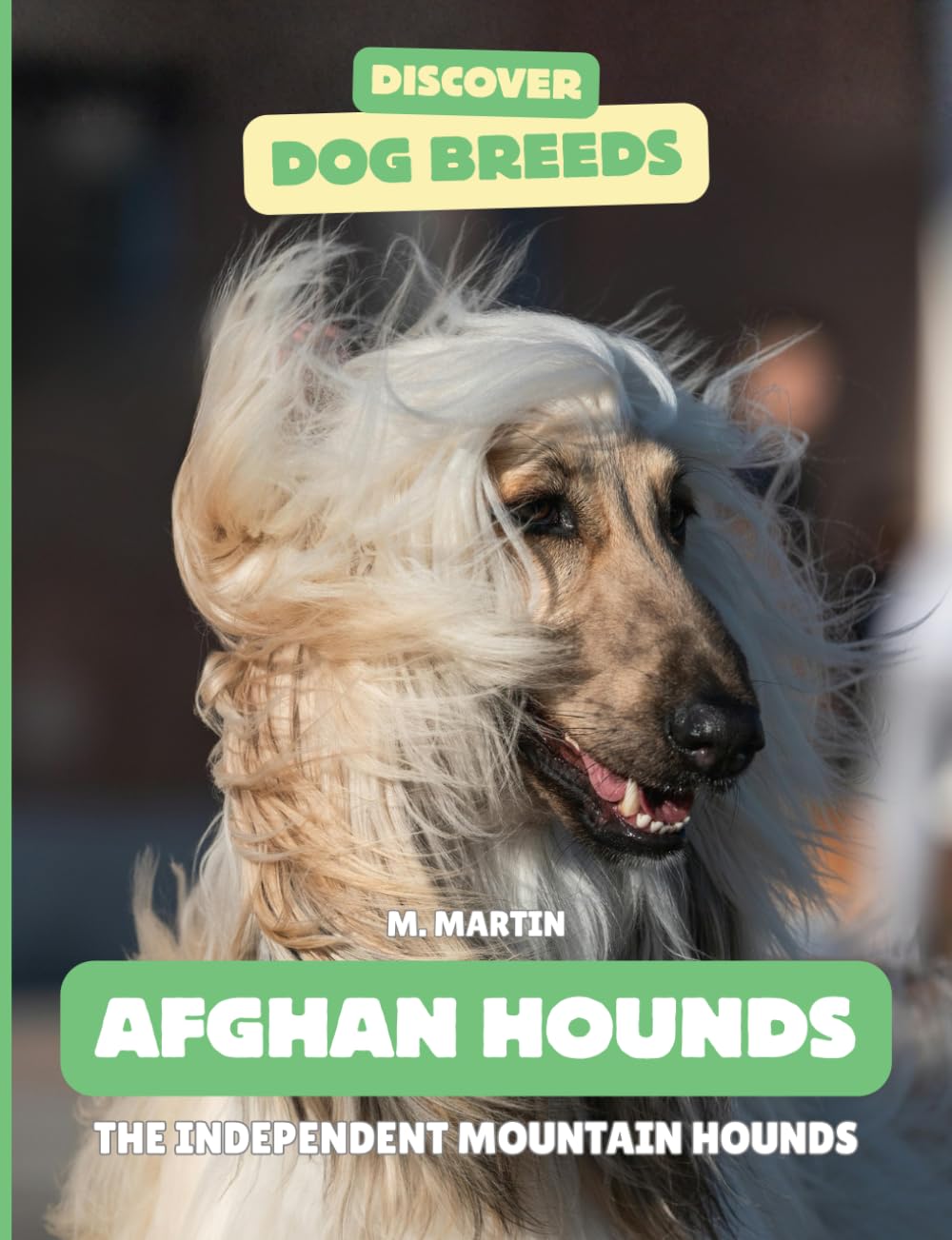Afghan Hounds: The Independent Mountain Hounds (Discover Dog Breeds)