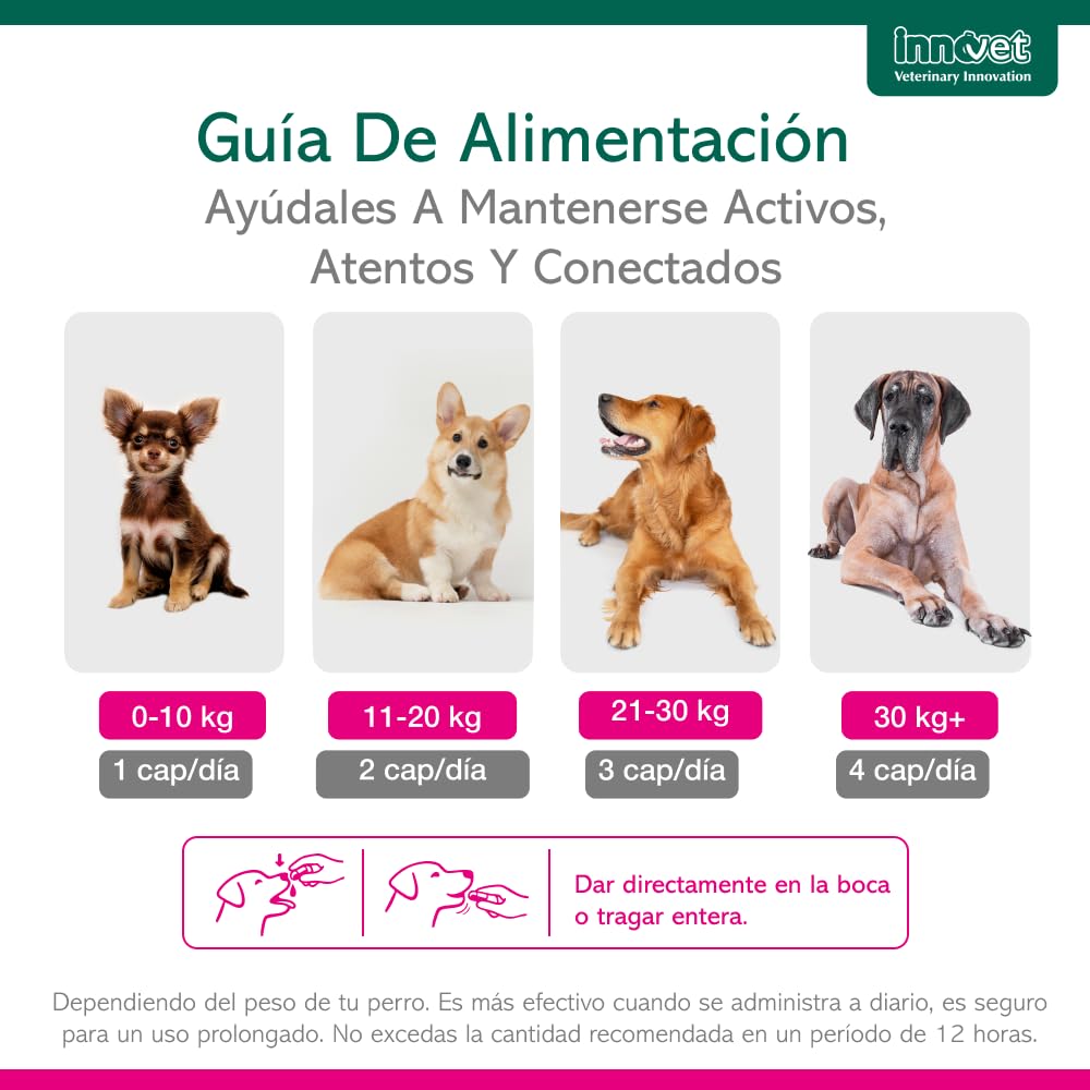 Innovet Senilife Plus 60 Cápsulas Monodosis – Apoyo al Bienestar Cerebral en Perros y Gatos Sénior – Vitaminas Perros Mayores Ayuda a Mantener el Equilibrio Cognitivo y la Vitalidad Mental Natural